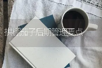 拱棚茄子后期管理要点