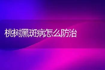 桃树黑斑病怎么防治