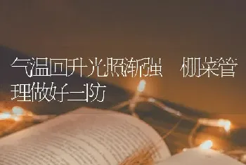 气温回升光照渐强 棚菜管理做好三防