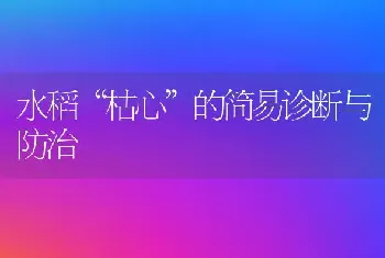 水稻“枯心”的简易诊断与防治