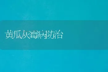 黄瓜灰霉病防治