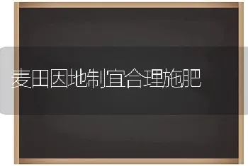 麦田因地制宜合理施肥