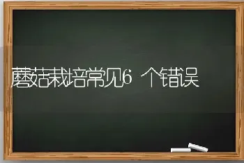 蘑菇栽培常见6个错误