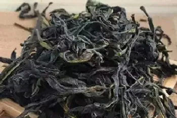 雪片茶属于什么茶?