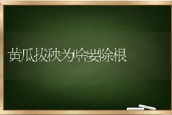 黄瓜拔秧为啥要除根