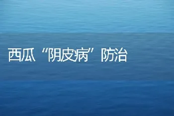 西瓜“阴皮病”防治