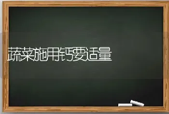 蔬菜施用钙要适量