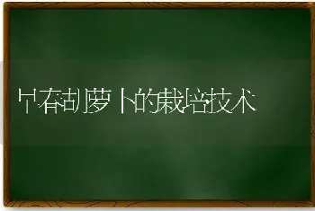 早春胡萝卜的栽培技术