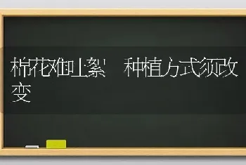 棉花难吐絮　种植方式须改变