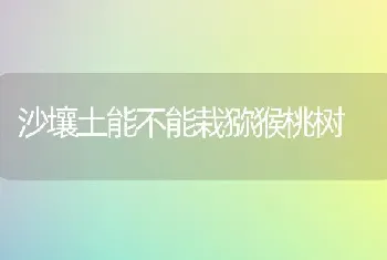 沙壤土能不能栽猕猴桃树