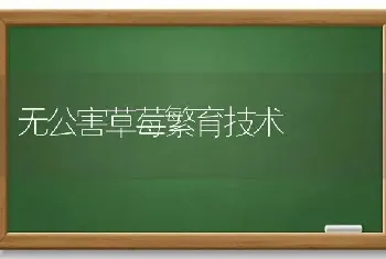 无公害草莓繁育技术