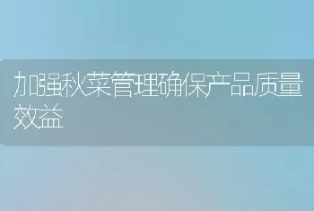 加强秋菜管理确保产品质量效益