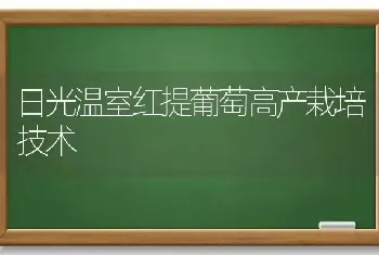 日光温室红提葡萄高产栽培技术