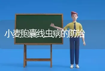 小麦胞囊线虫病的防治