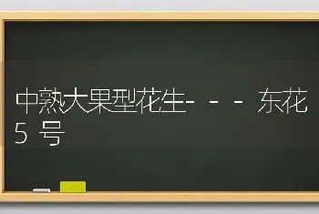 中熟大果型花生---东花5号