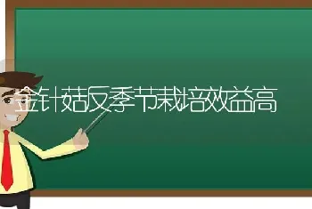 金针菇反季节栽培效益高