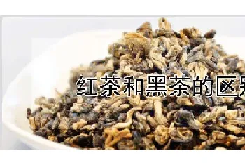 红茶和黑茶的区别