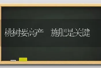 桃树要高产 施肥是关键