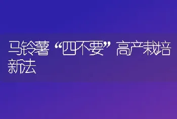 马铃薯“四不要”高产栽培新法