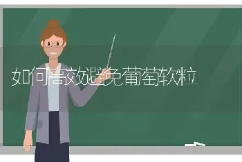 如何高效避免葡萄软粒