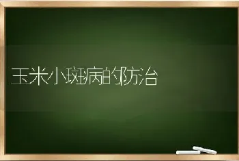 玉米小斑病的防治