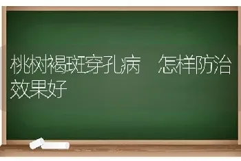 桃树褐斑穿孔病 怎样防治效果好