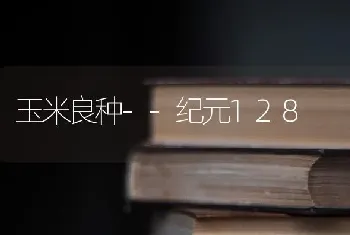 玉米良种--纪元128