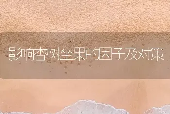 影响杏树坐果的因子及对策