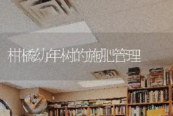 柑橘幼年树的施肥管理