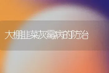 大棚韭菜灰霉病的防治