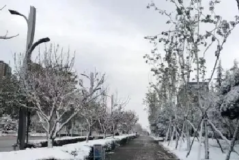 雨雪大风降温即将再度上线,大范围雨雪降温来袭?