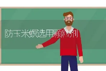 防玉米螟选用颗粒剂