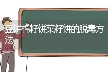 豆饼棉籽饼菜籽饼的脱毒方法