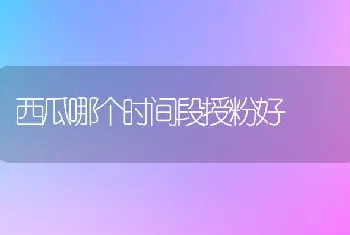 西瓜哪个时间段授粉好