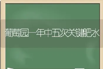 葡萄园一年中五次关键肥水