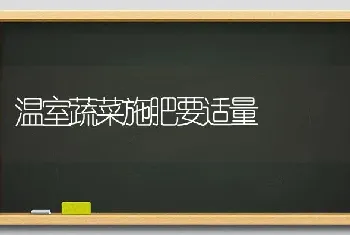 温室蔬菜施肥要适量