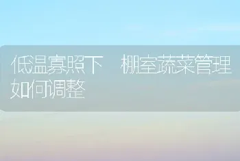 低温寡照下 棚室蔬菜管理如何调整