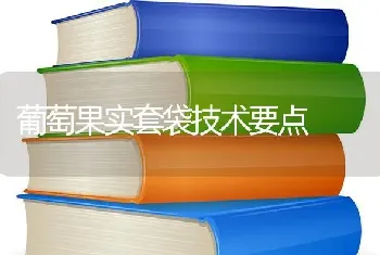 葡萄果实套袋技术要点