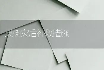 果树灾后补救措施