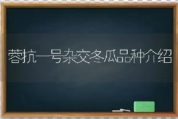 蓉抗一号杂交冬瓜品种介绍