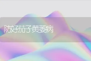 防好茄子黄萎病