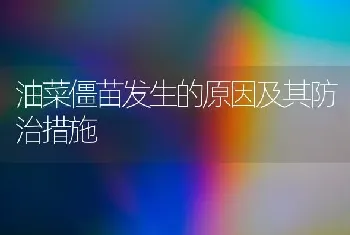 油菜僵苗发生的原因及其防治措施