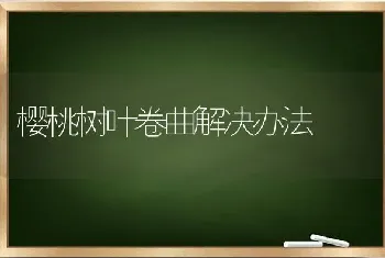 樱桃树叶卷曲解决办法