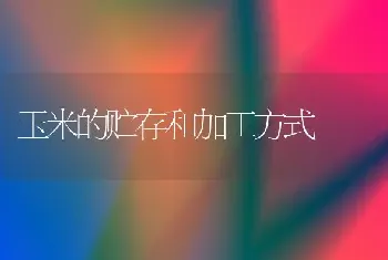 玉米的贮存和加工方式