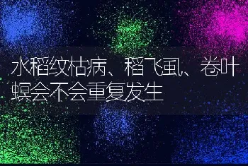 水稻纹枯病、稻飞虱、卷叶螟会不会重复发生