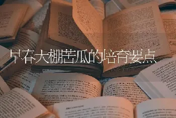 早春大棚苦瓜的培育要点