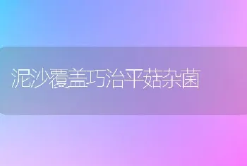 泥沙覆盖巧治平菇杂菌