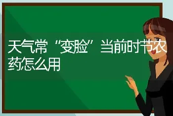 天气常“变脸”当前时节农药怎么用