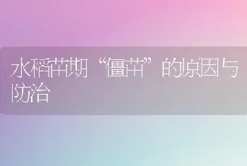 水稻苗期“僵苗”的原因与防治