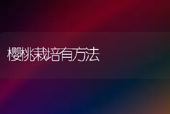 樱桃栽培有方法